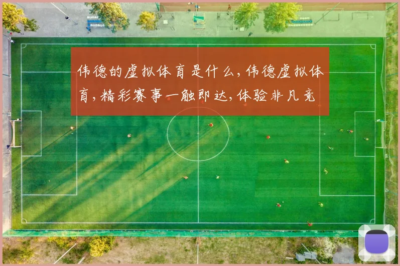伟德的虚拟体育是什么,伟德虚拟体育,精彩赛事一触即达,体验非凡竞技魅力
