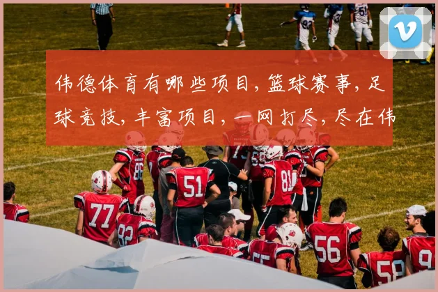 伟德体育有哪些项目,篮球赛事,足球竞技,丰富项目,一网打尽,尽在伟德体育,体验无限精彩。