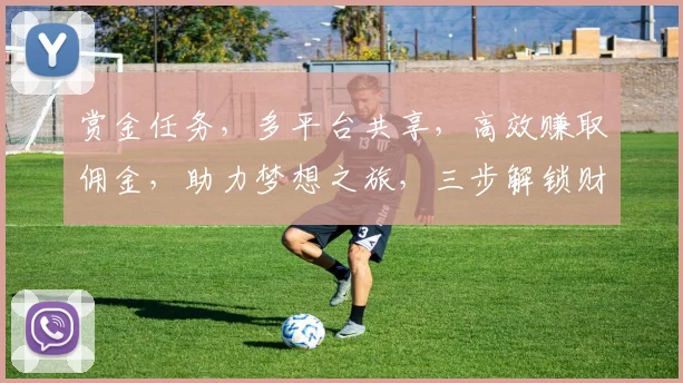 赏金任务，多平台共享，高效赚取佣金，助力梦想之旅，三步解锁财富之门，成就非凡人生。