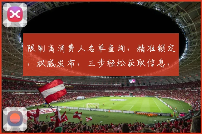 限制高消费人名单查询，精准锁定，权威发布，三步轻松获取信息，一网打尽。